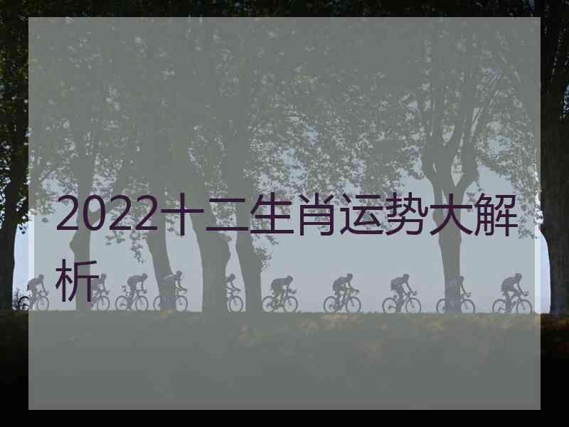 2022十二生肖运势大解析