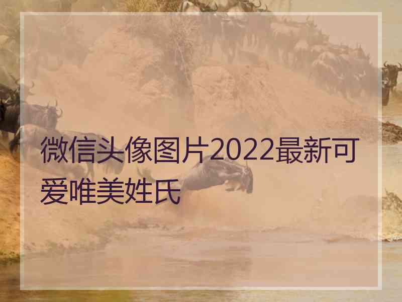 微信头像图片2022最新可爱唯美姓氏