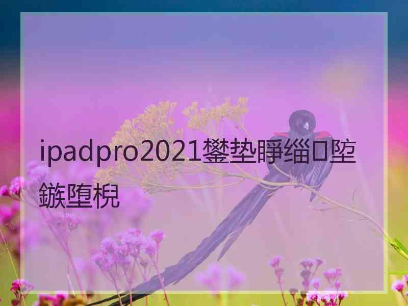 ipadpro2021鐢垫睜缁埅鏃堕棿