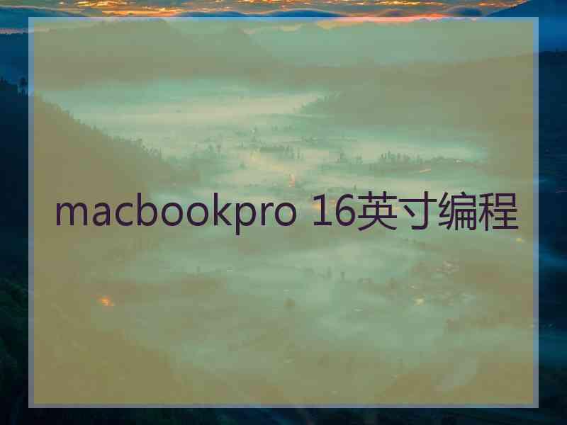 macbookpro 16英寸编程