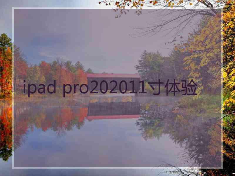 ipad pro202011寸体验