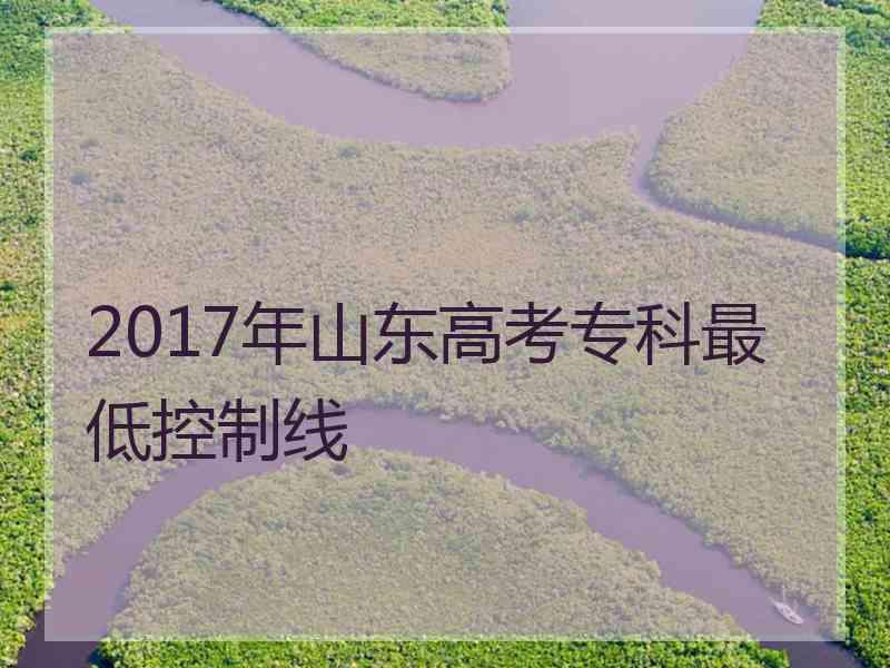 2017年山东高考专科最低控制线