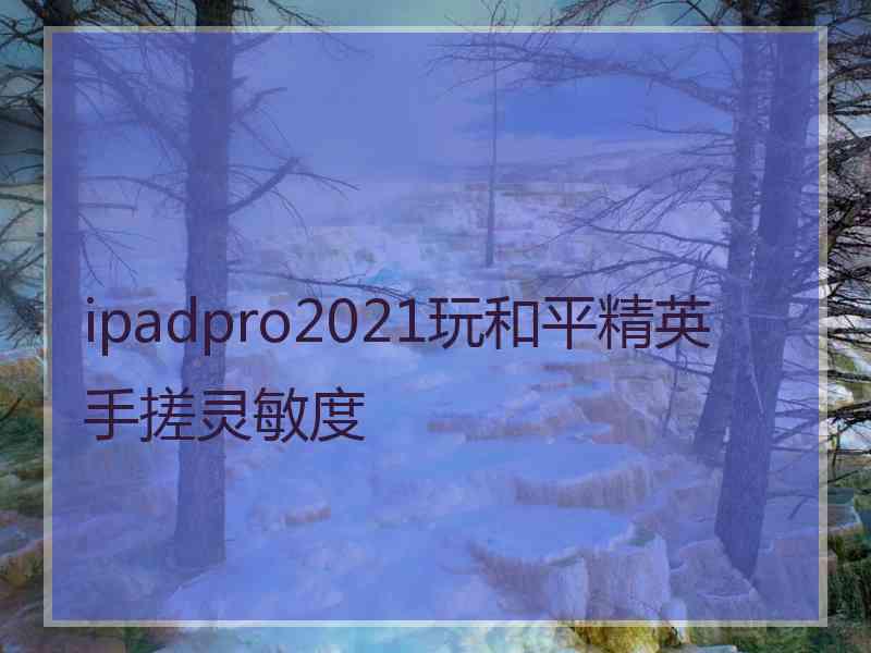 ipadpro2021玩和平精英手搓灵敏度