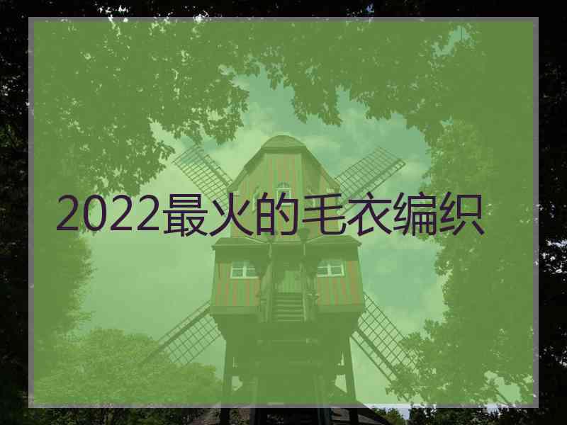 2022最火的毛衣编织