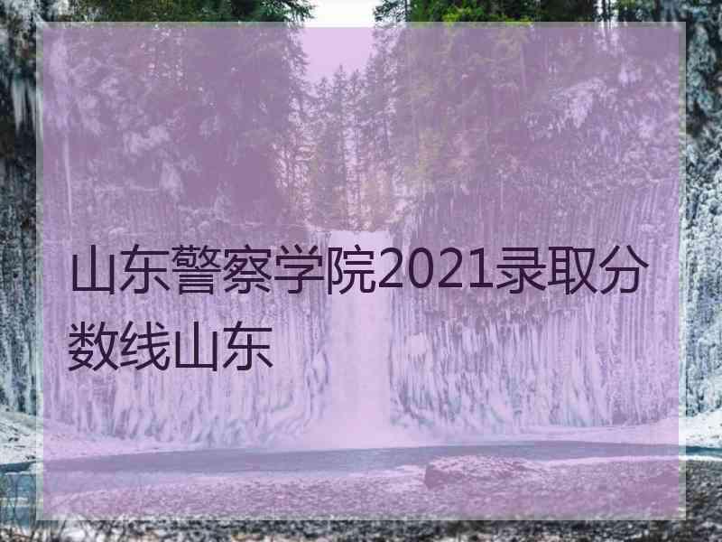 山东警察学院2021录取分数线山东