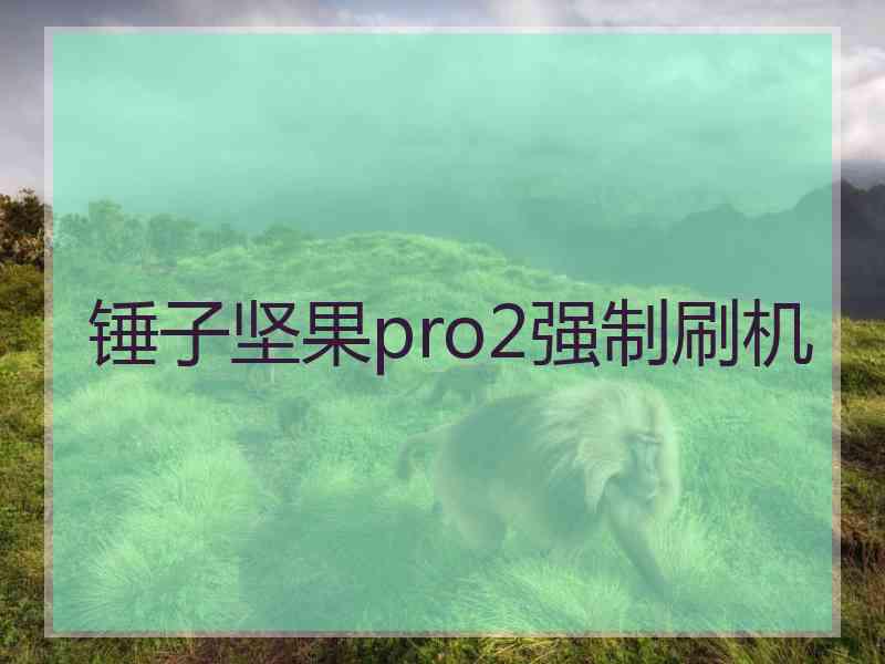 锤子坚果pro2强制刷机