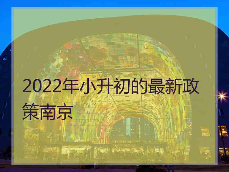 2022年小升初的最新政策南京