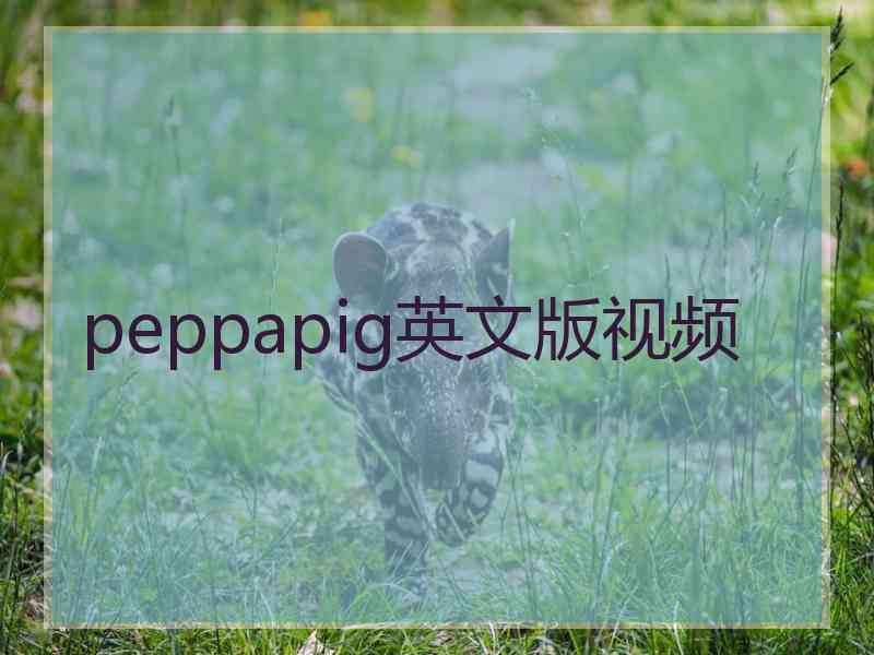 peppapig英文版视频