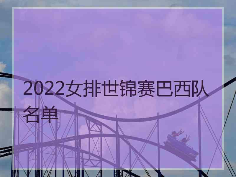 2022女排世锦赛巴西队名单