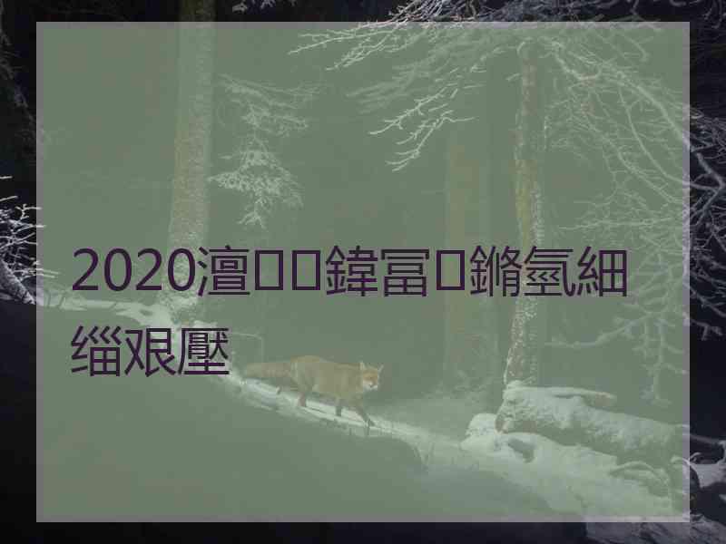 2020澶鍏冨鏅氫細缁艰壓