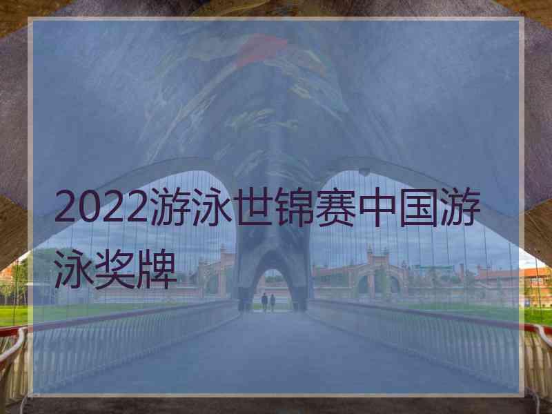 2022游泳世锦赛中国游泳奖牌