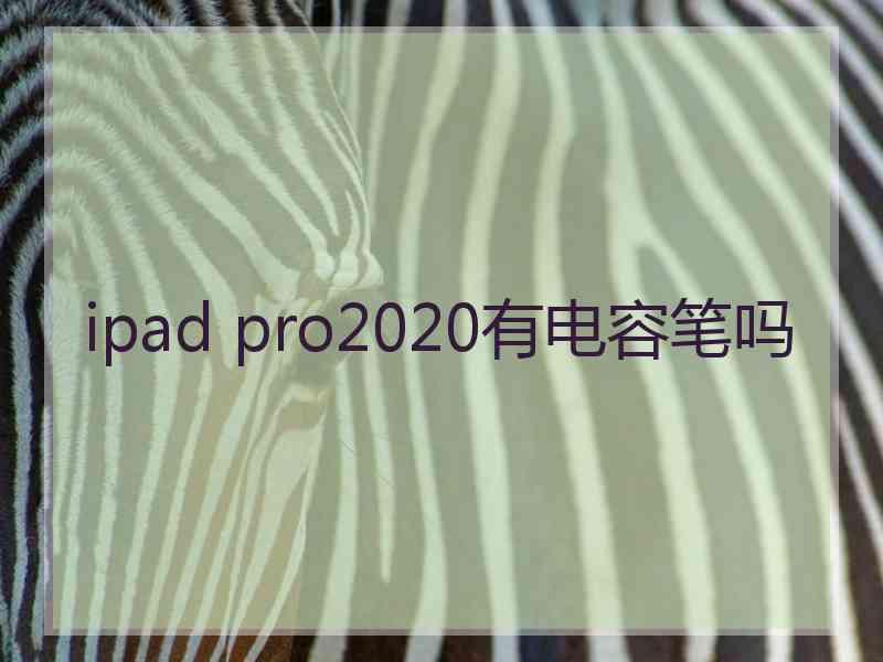 ipad pro2020有电容笔吗