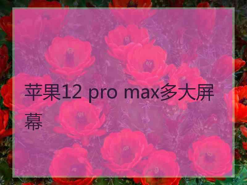 苹果12 pro max多大屏幕