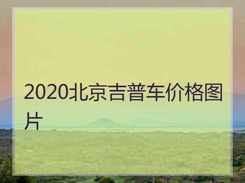 2020北京吉普车价格图片