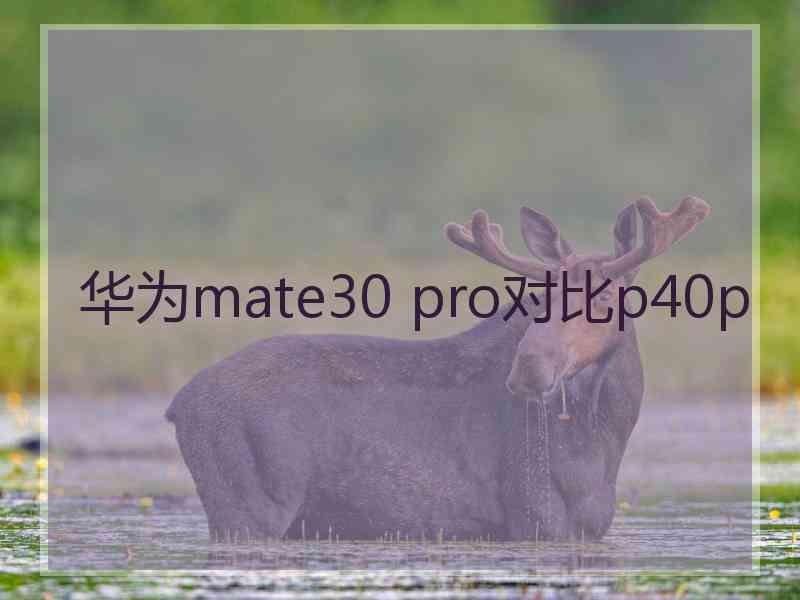 华为mate30 pro对比p40p