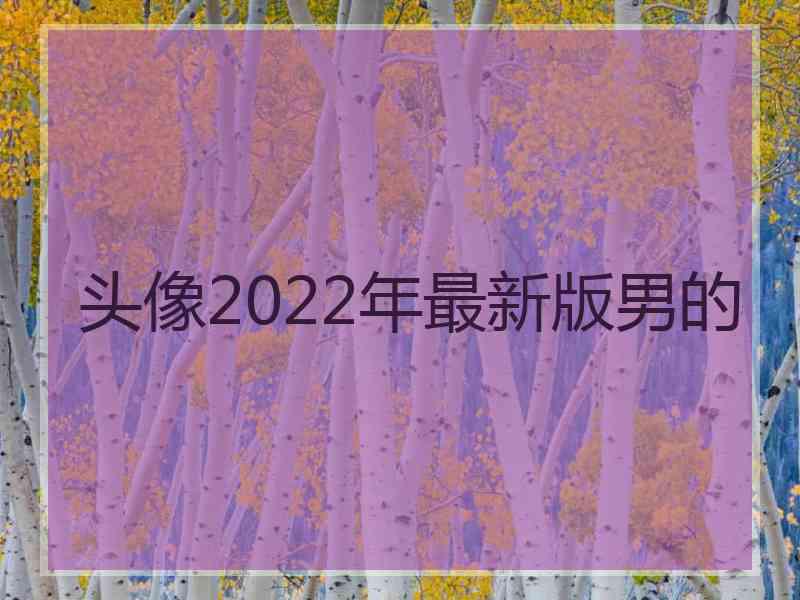 头像2022年最新版男的