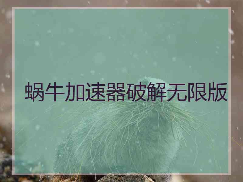 蜗牛加速器破解无限版