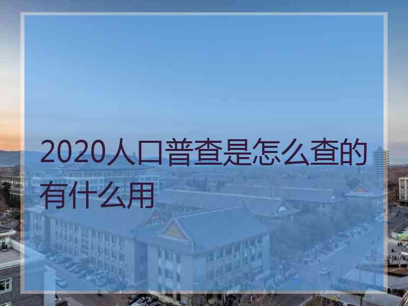 2020人口普查是怎么查的有什么用