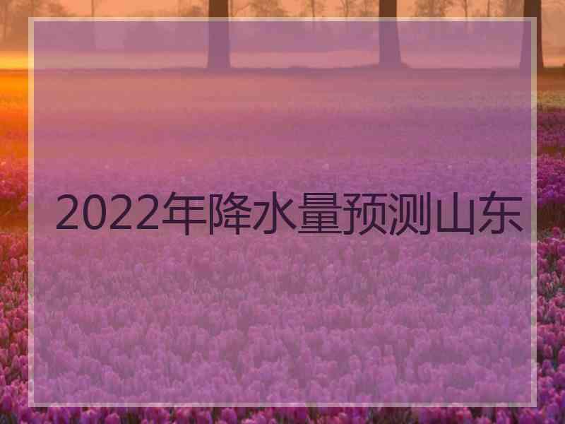 2022年降水量预测山东