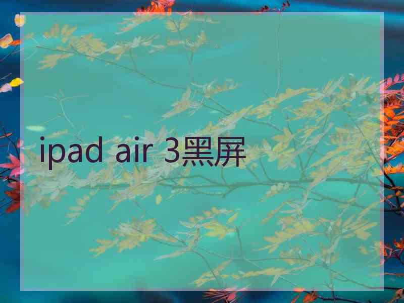 ipad air 3黑屏