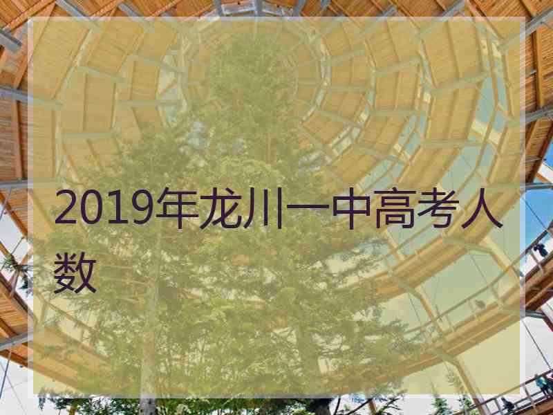 2019年龙川一中高考人数