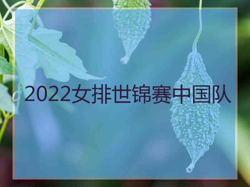 2022女排世锦赛中国队