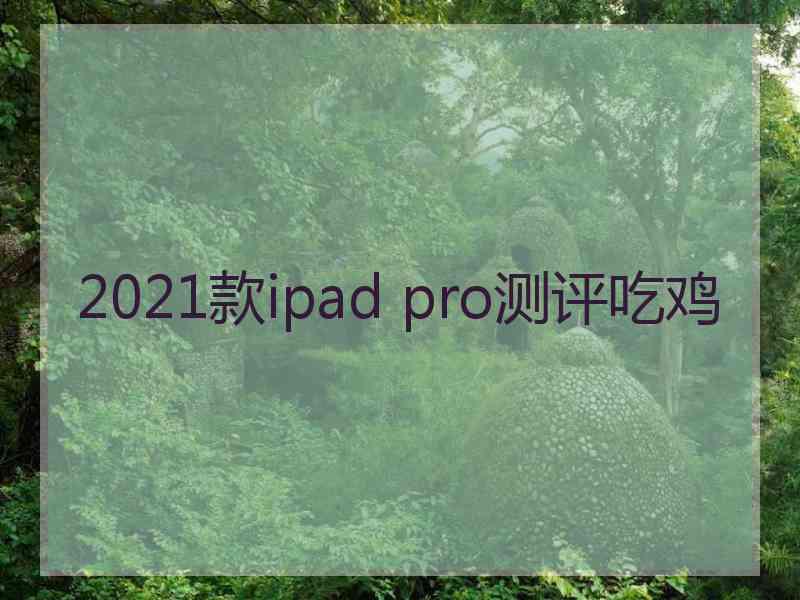 2021款ipad pro测评吃鸡