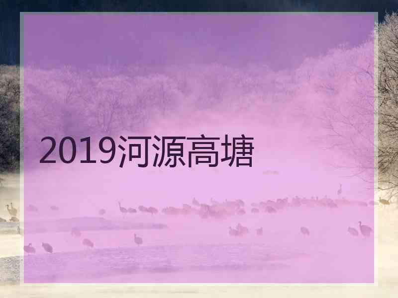 2019河源高塘