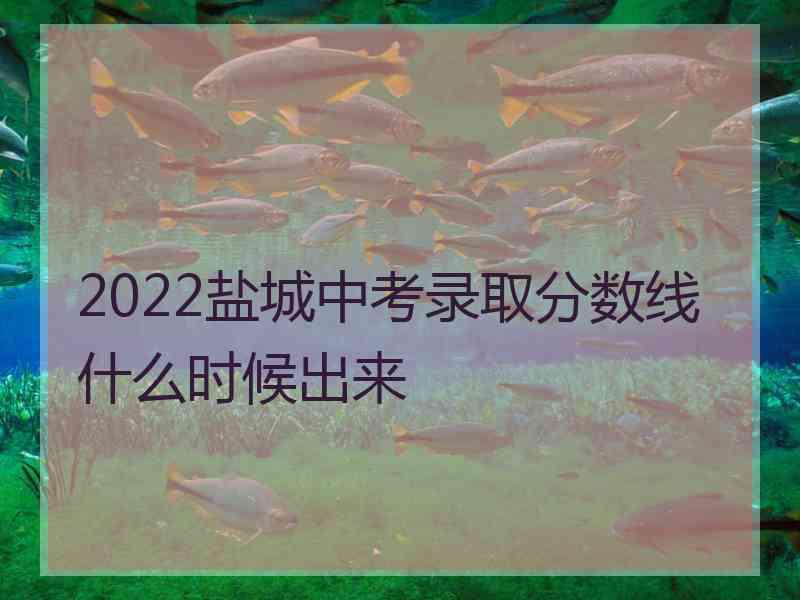 2022盐城中考录取分数线什么时候出来