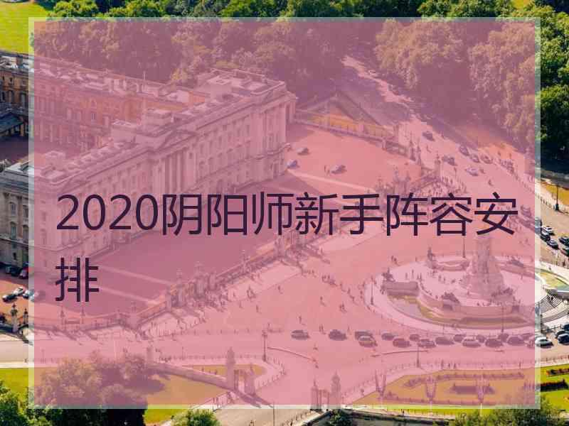 2020阴阳师新手阵容安排