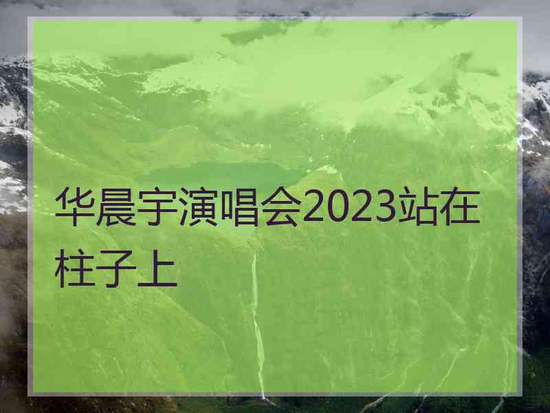 华晨宇演唱会2023站在柱子上