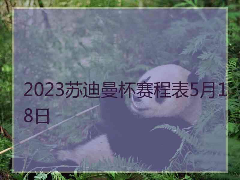 2023苏迪曼杯赛程表5月18日