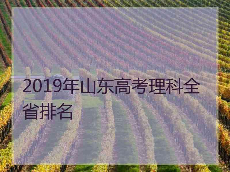 2019年山东高考理科全省排名