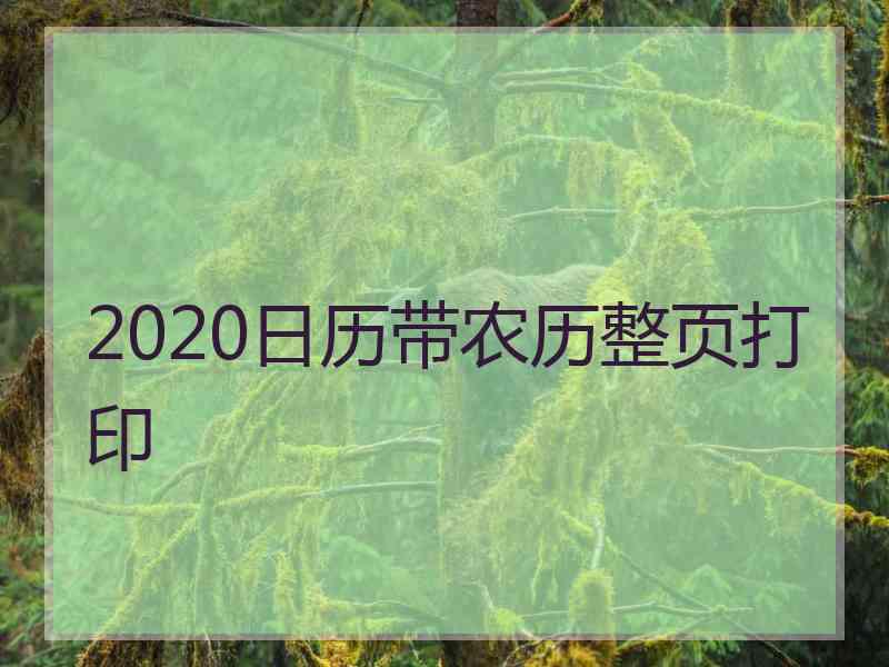 2020日历带农历整页打印