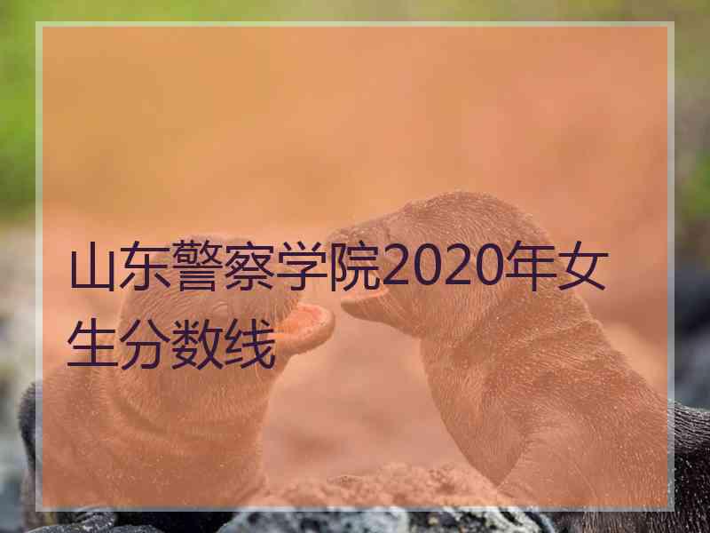 山东警察学院2020年女生分数线