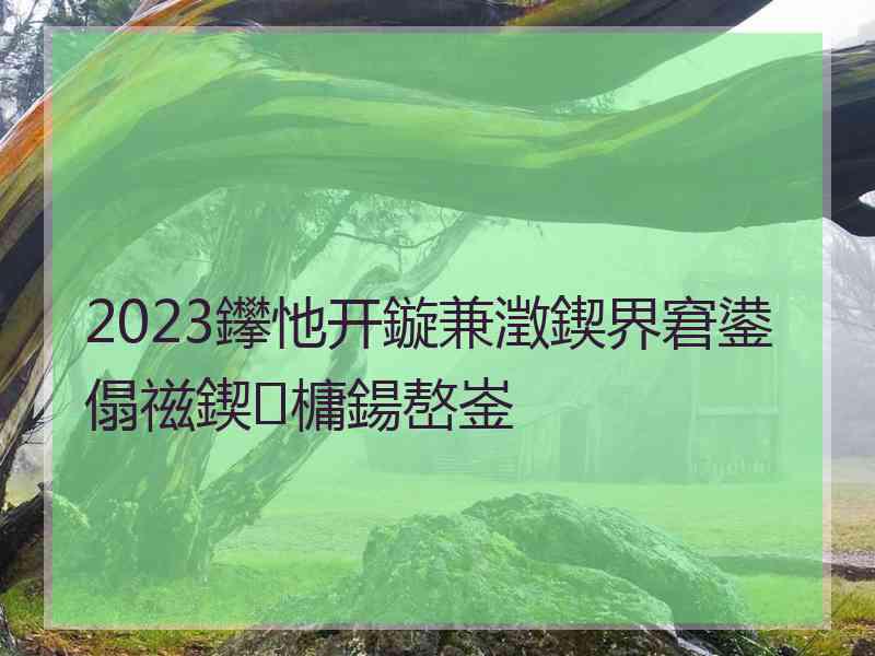 2023鑻忚开鏇兼澂鍥界窘鍙傝禌鍥㈤槦鍚嶅崟