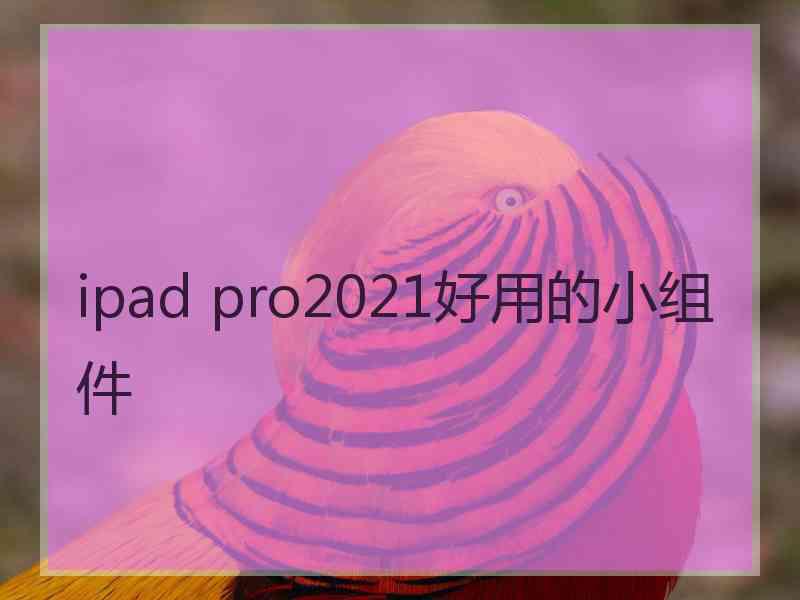 ipad pro2021好用的小组件