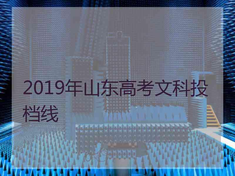 2019年山东高考文科投档线