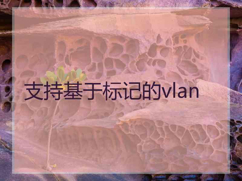 支持基于标记的vlan