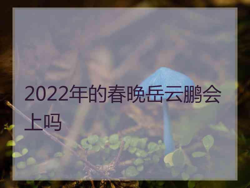 2022年的春晚岳云鹏会上吗