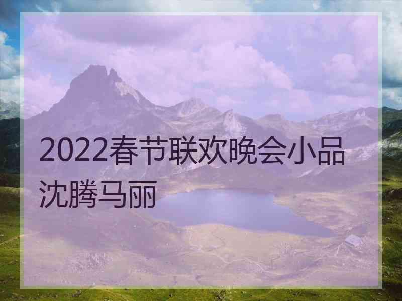 2022春节联欢晚会小品沈腾马丽