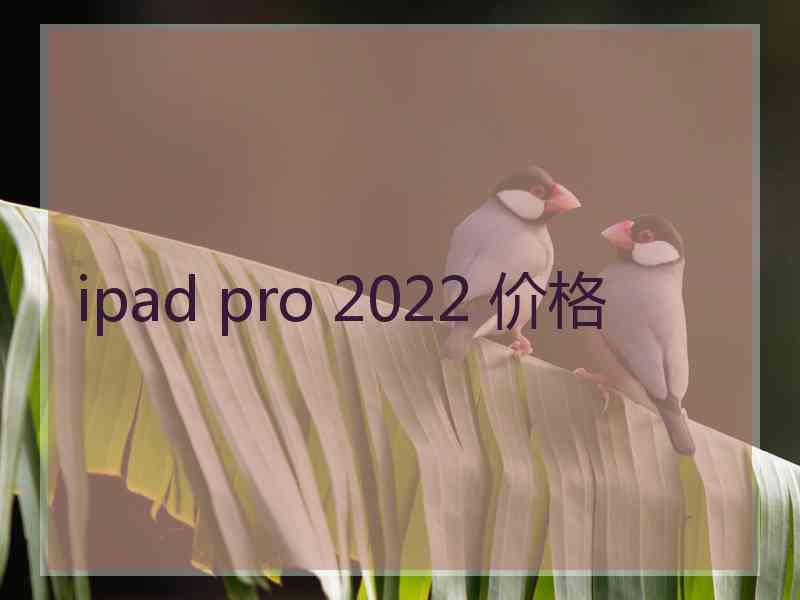 ipad pro 2022 价格