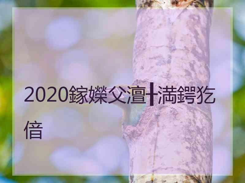 2020鎵嬫父澶╂満鍔犵偣