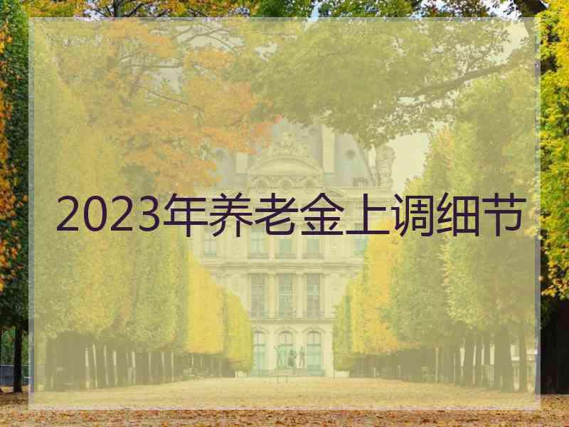 2023年养老金上调细节