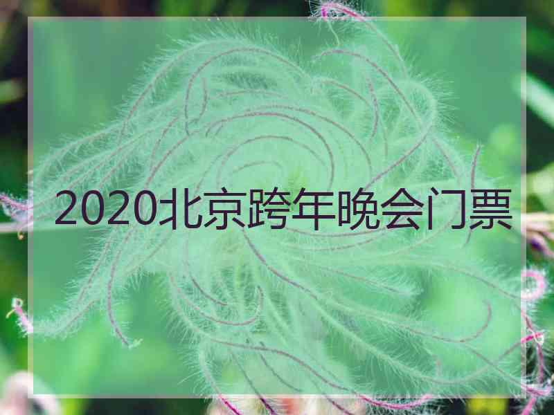 2020北京跨年晚会门票