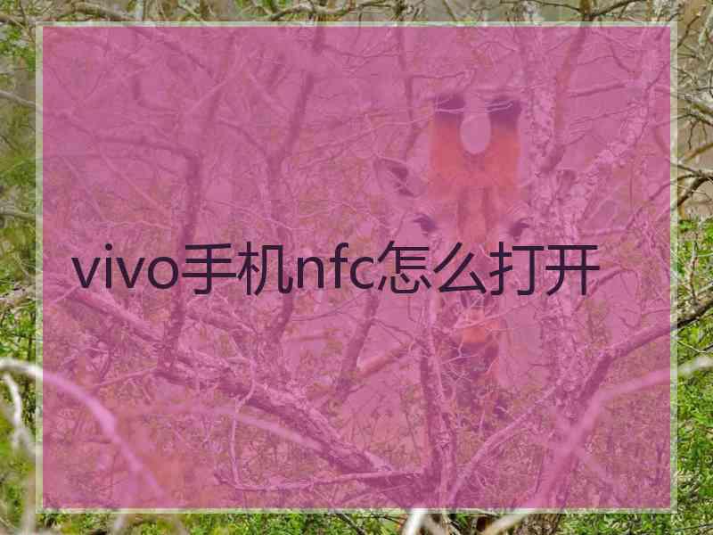 vivo手机nfc怎么打开