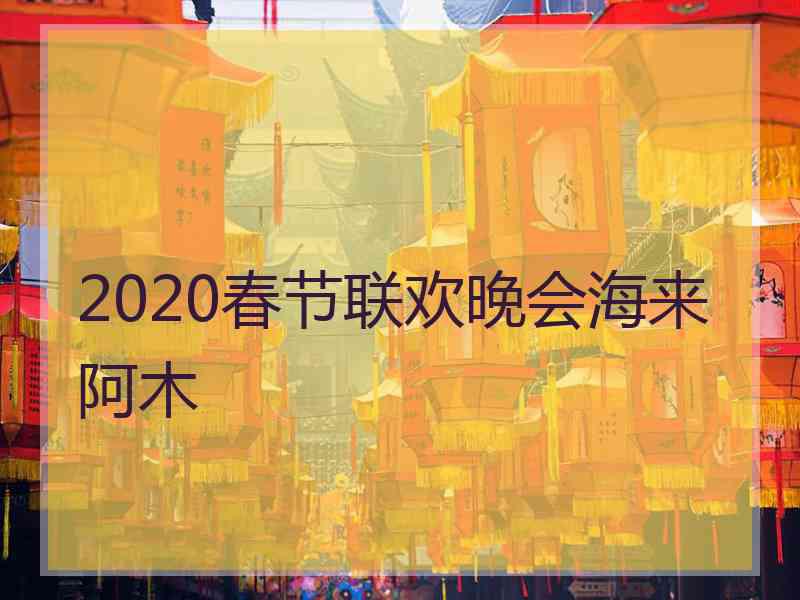 2020春节联欢晚会海来阿木