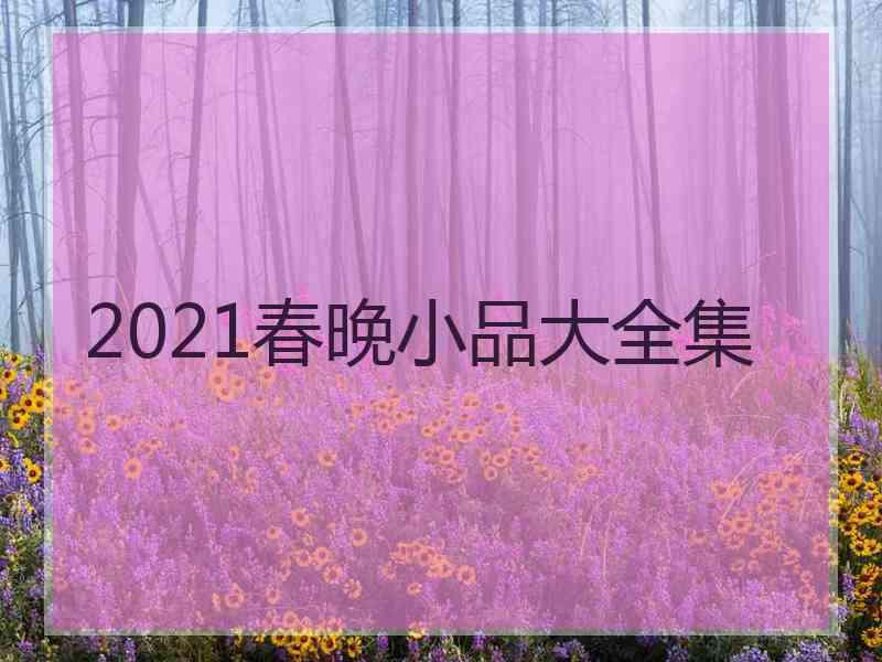 2021春晚小品大全集