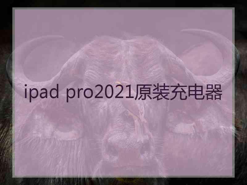 ipad pro2021原装充电器