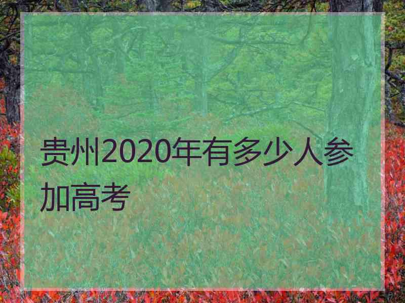 贵州2020年有多少人参加高考